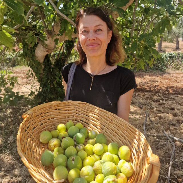 Première cueillette 🌿
Ce n’est peut-être pas grand-chose, mais après presque 3 ans d’attente, de démarches administratives, de galères sans fin et de nuits blanches… on commence enfin à voir le bout du tunnel.

Notre maison prend forme petit à petit, et chaque visite sur le terrain est un émerveillement. Pas d’olives cette année – les oliviers ont été bien taillés – mais quelques figues ont fait leur apparition, comme un petit avant-goût du paradis.

C’est une joie immense de voir ce projet prendre vie. J’ai hâte d’y planter d’autres arbres, de créer mon potager, de récolter mes premières noisettes, noix, kakis… (les poires, elles, ont déjà été dégustées par les oiseaux 🐦😉).

Je partagerai ces petits instants avec vous, même si on est encore en plein chantier.

Encore quelques recettes à venir sur le blog, puis une pause bien méritée pour moi aussi.
Les vacances approchent, enfin ! 🌞

Stéphanie 🌸 

#premièrecueillette #vieàlacampagne #chantiermaison #retouralanature #figues #projetdevie #maisonenconstruction #jardinetsaison #petitbonheur #fruitsdusoleil #slowliving #bonheursimple #potager #natureinspire #viedereve #campagnelife #faitavecamour #jardinagebio #recolte