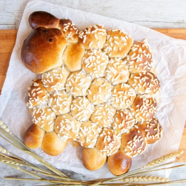 Je ne pouvais pas vous souhaiter de joyeuses fêtes de Pâques sans une petite gourmandise… et quelle gourmandise ! 🐑🌸🌱

L’agneau sera aussi présent chez nous demain, mais en version briochée !! 😋😋 Il n’y a rien de plus convivial que de partager une bonne brioche en famille au petit déjeuner. Le plus difficile va être d’attendre demain matin pour la déguster : elle sent tellement bon qu’il est vraiment tentant de lui arracher une oreille !

Allez vite voir la recette sur le blog : vous avez encore largement le temps de la préparer pour demain. Vous pouvez même faire la pâte ce soir et la laisser reposer toute la nuit au frais, puis la façonner demain matin.

J’espère que vous passerez un beau et long week-end. De mon côté, je vais faire une petite pause sur le blog, mais ne vous inquiétez pas, je reviens très vite avec de nouvelles recettes aux saveurs printanières.

Joyeuses Pâques, Stéphanie 🌸 

 www.lafeestephanie.com

#vegan #brioches #paques #recettevegan #briochemaison